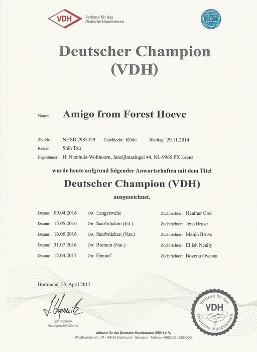 Diploma Amigo, foto 1