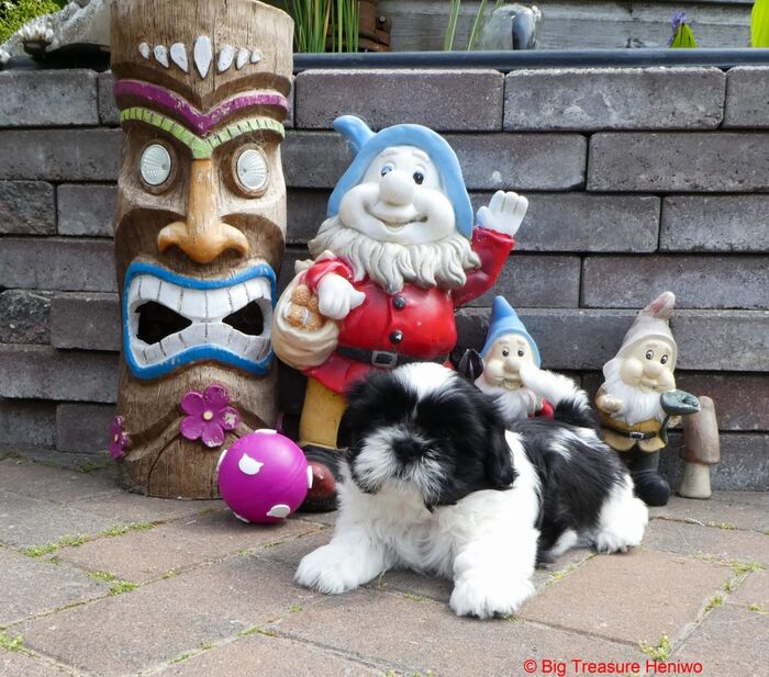 Frances, foto 10