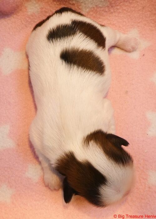 Gilly, foto 2