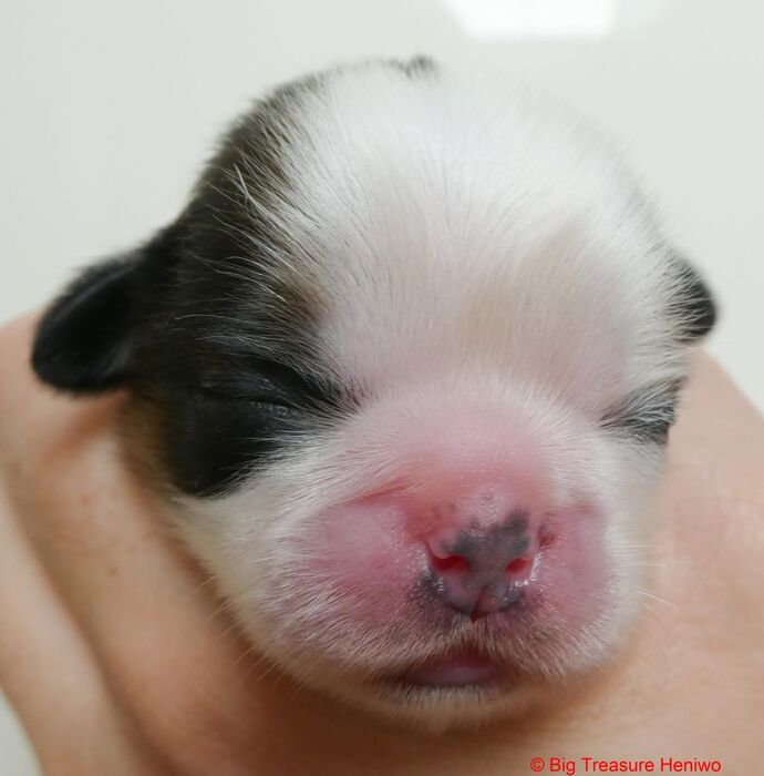 Gilly, foto 1