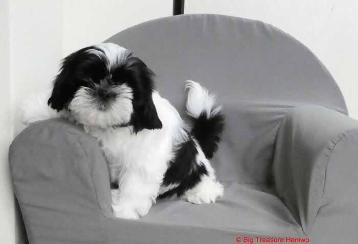 Fiona, foto 11