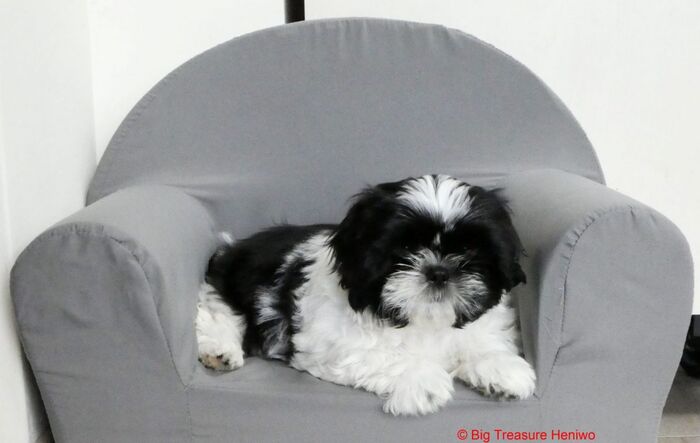 Frances, foto 11