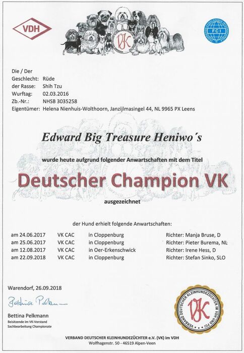 Diploma Edward, foto 6