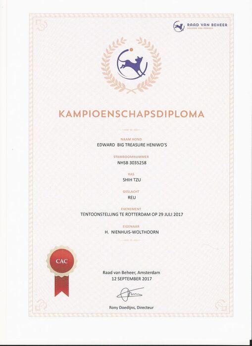 Diploma Edward, foto 4
