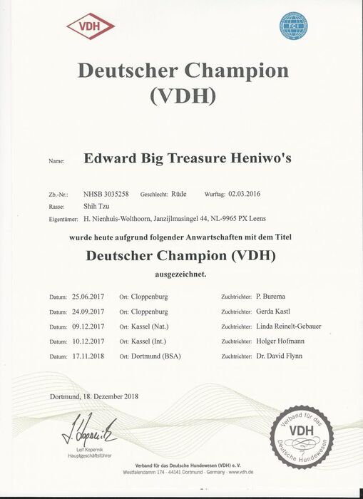 Diploma Edward, foto 8