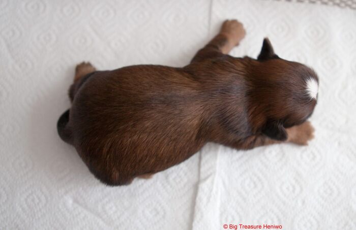 Fred, foto 2