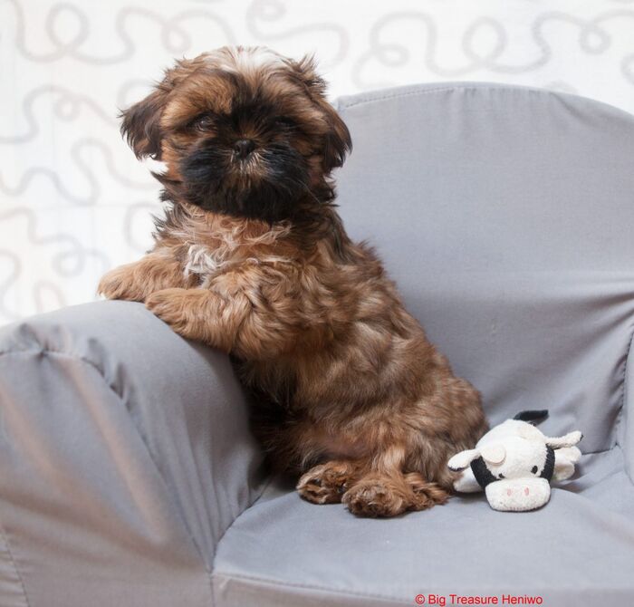 Fred, foto 6