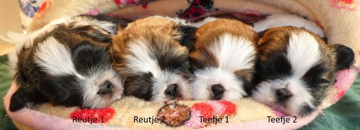 Allemaal, foto 4