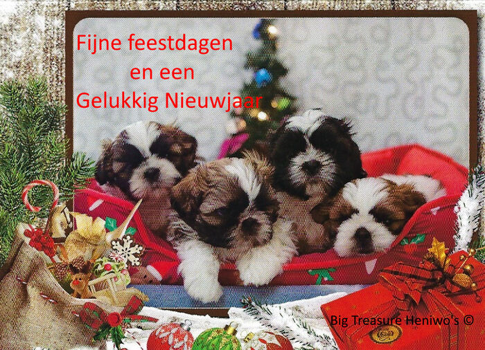Allemaal, foto 5