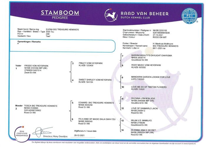 Stamboom van Elena Big Treasure Heniwo’s