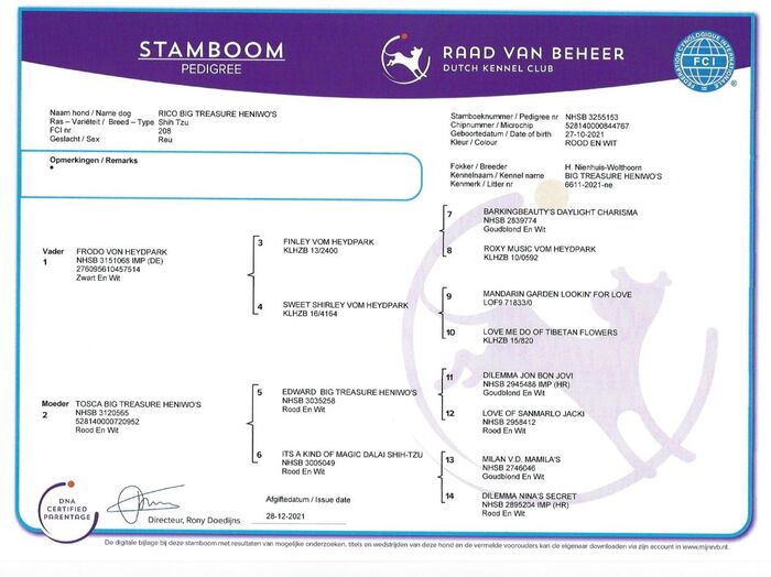 Stamboom van Rico Big Treasure Heniwo’s