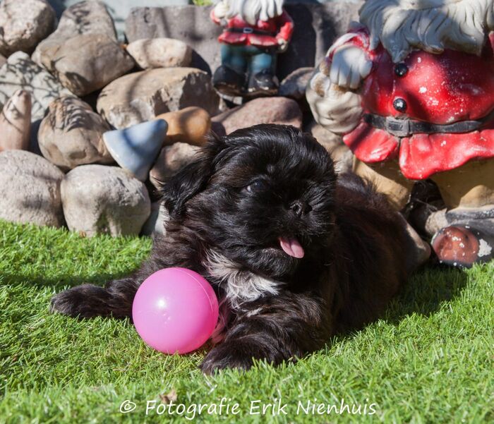 Coco Chanel, foto 9