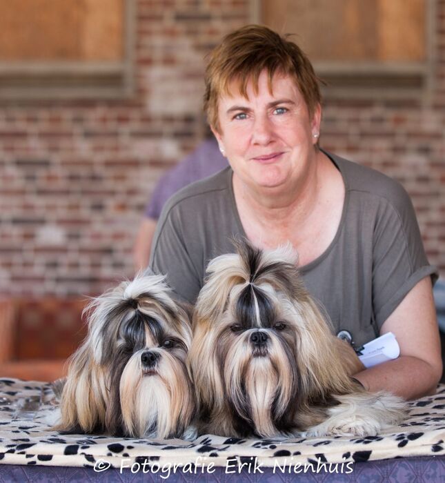 Helena Nienhuis met twee van haar Shih Tzu’s