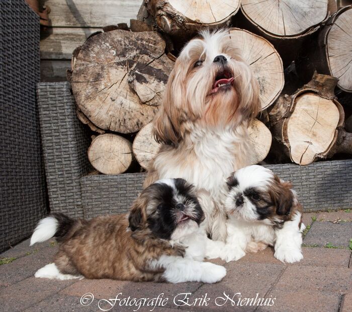 Vincent en Jules samen met Wendy., foto 2