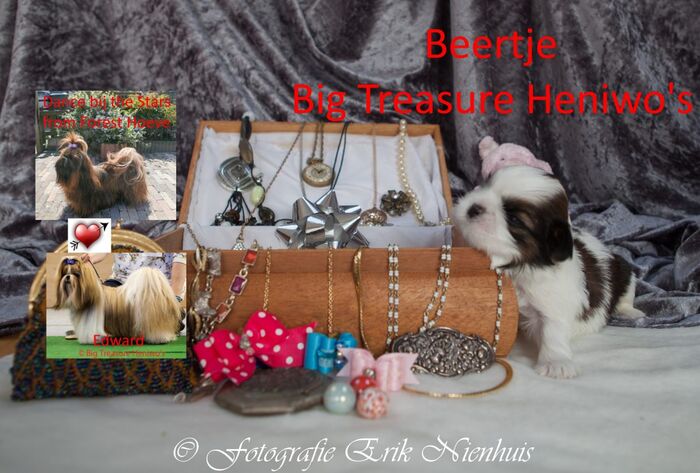 Beertje, foto 1