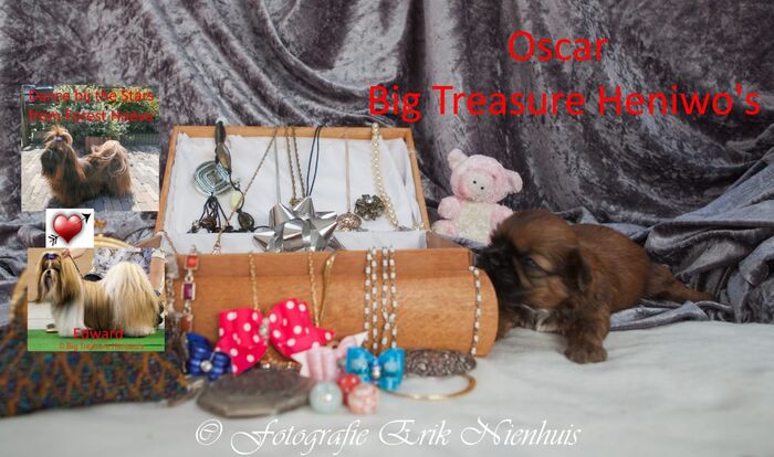 Oscar, foto 1