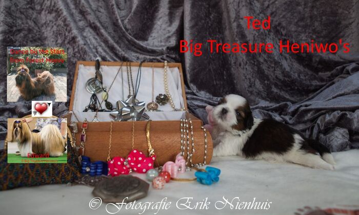Ted, foto 1
