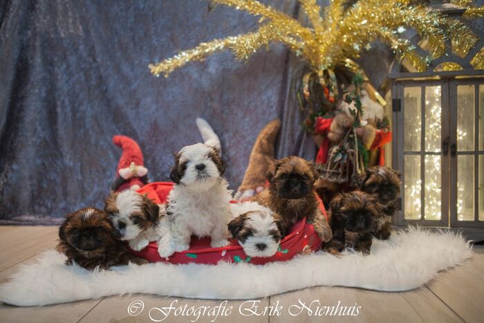 Allemaal, foto 5
