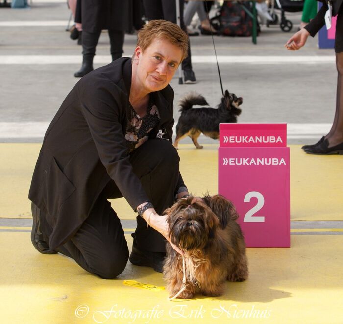 Levi, foto 6