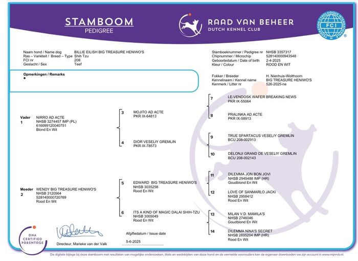 Stamboom van Billie Eilish Big Treasure Heniwo’s
