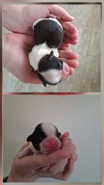 Marcus, foto 3